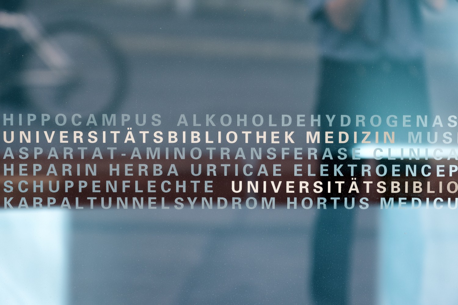 Basel Universität Bibliothek Schrift