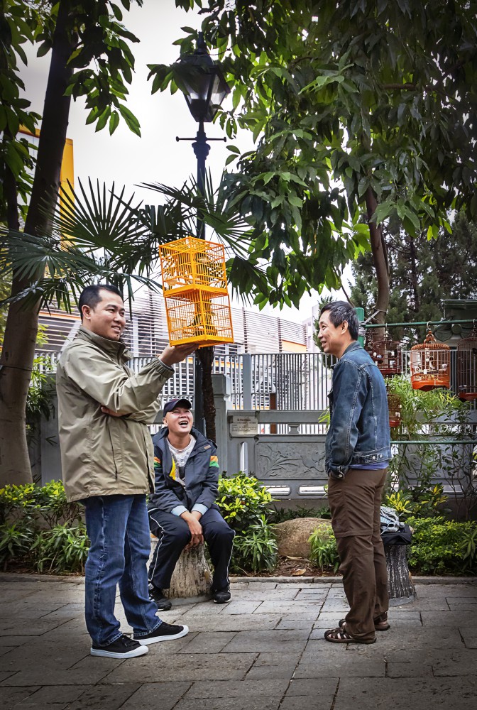 Hongkong, Birds Market