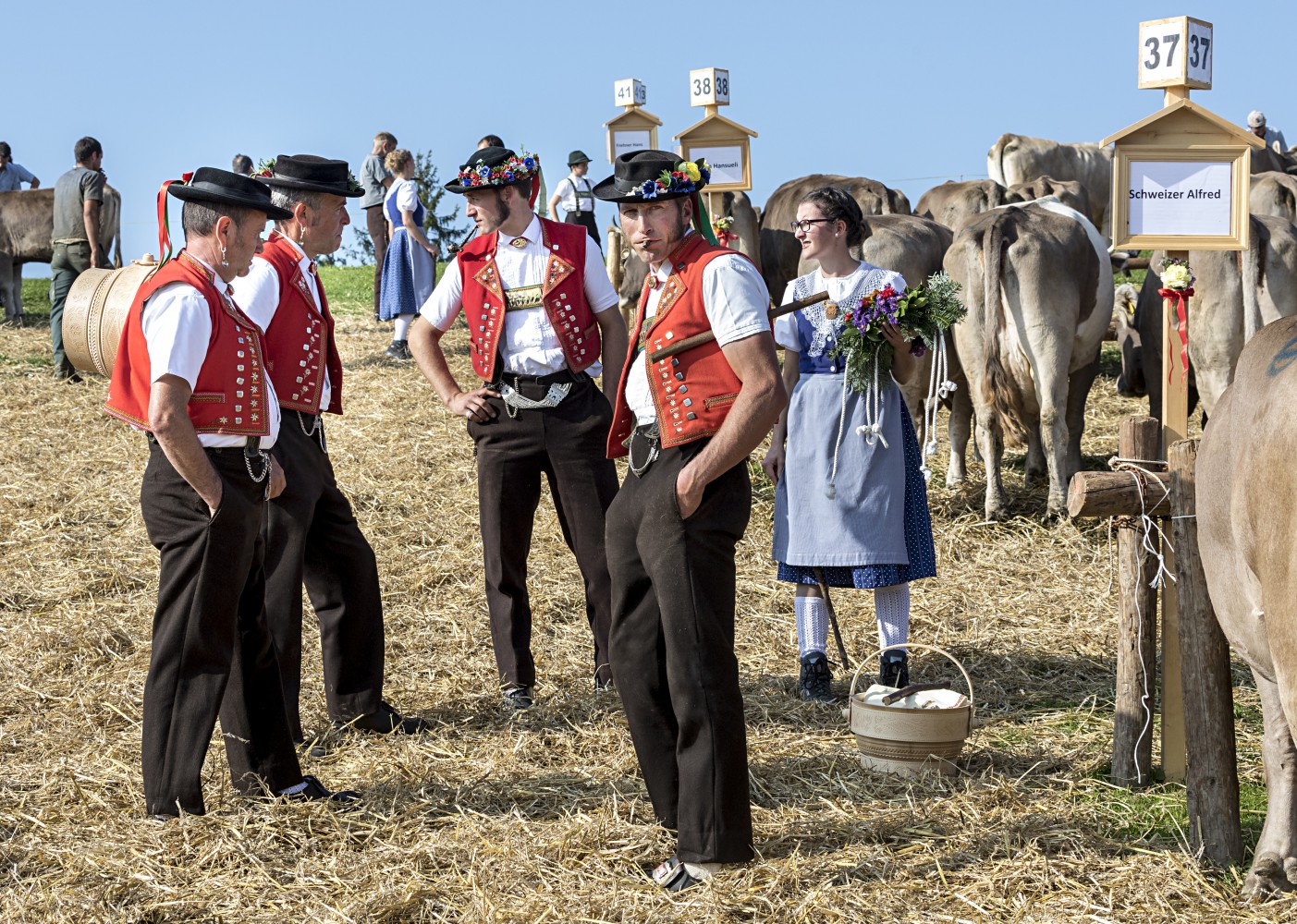 Viehschau Kühe Sennen
