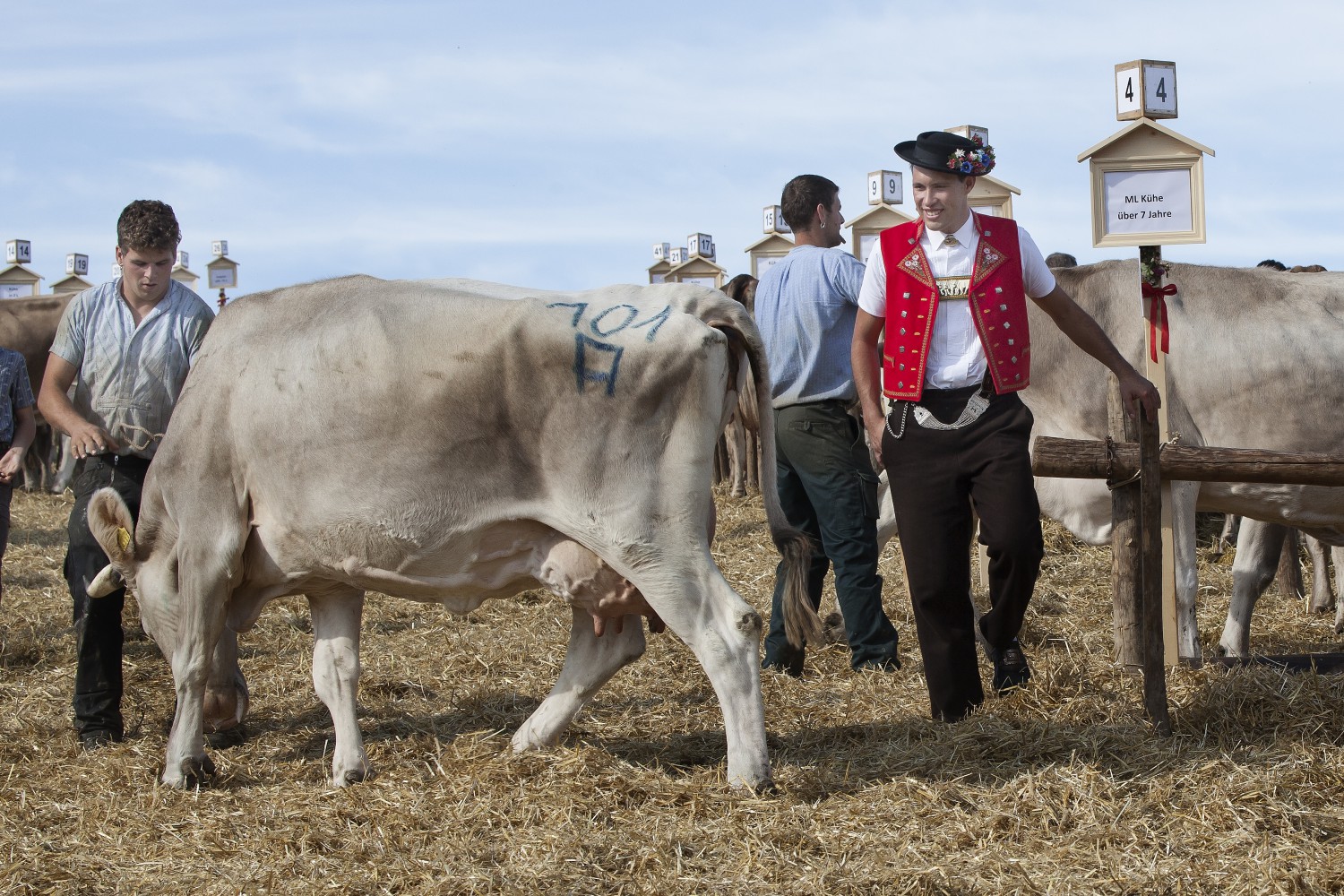Viehschau Kühe Sennen